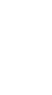 串